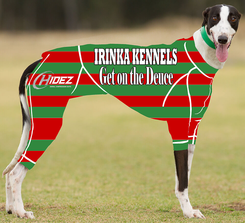 Your browser does not support the video tag.